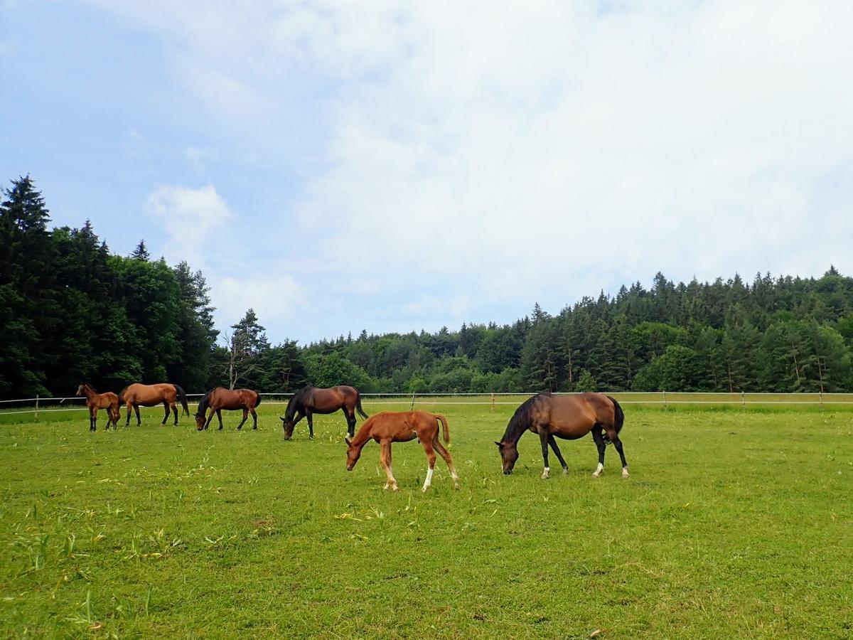 Zrebcin Mlyncok Daire Slovenska Lupca Dış mekan fotoğraf