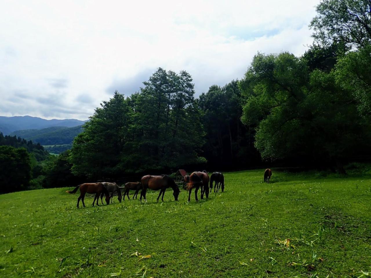 Zrebcin Mlyncok Daire Slovenska Lupca Dış mekan fotoğraf