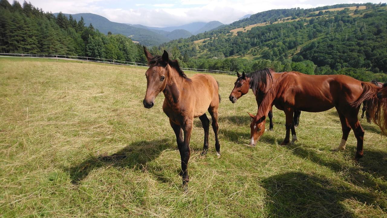 Zrebcin Mlyncok Daire Slovenska Lupca Dış mekan fotoğraf